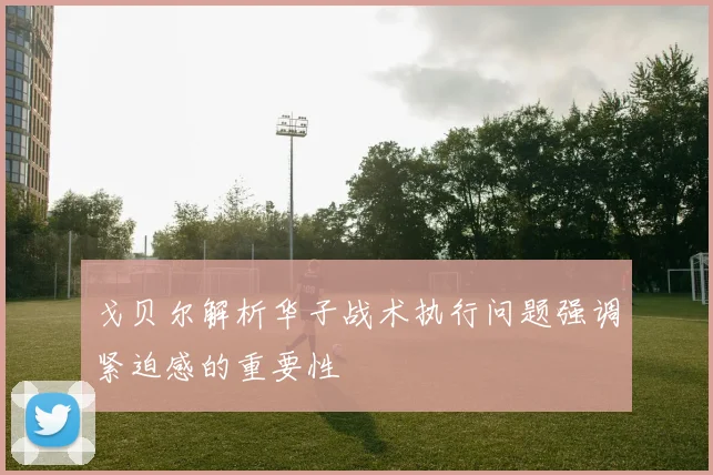 戈贝尔解析华子战术执行问题强调紧迫感的重要性